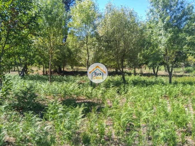 Quinta T5 para Venda em Santos Evos Foto 28