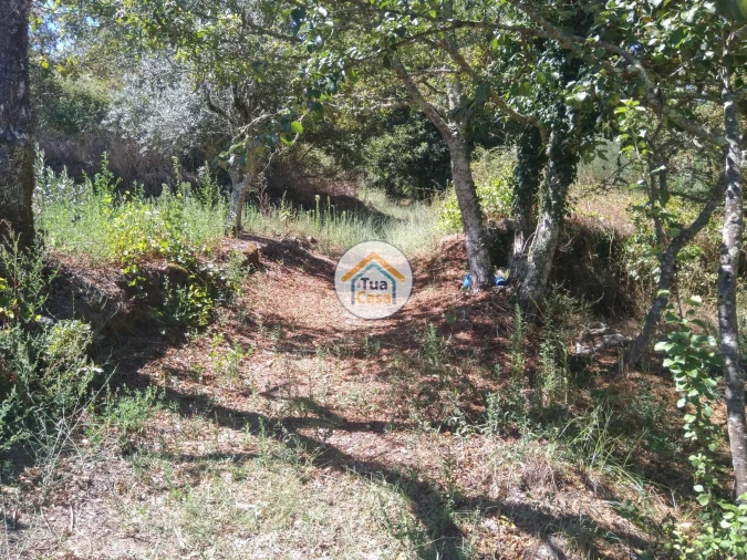 Quinta T5 para Venda em Santos Evos Foto 22