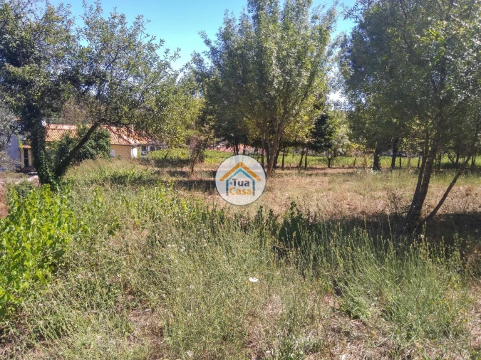 Quinta T5 para Venda em Santos Evos Foto 27