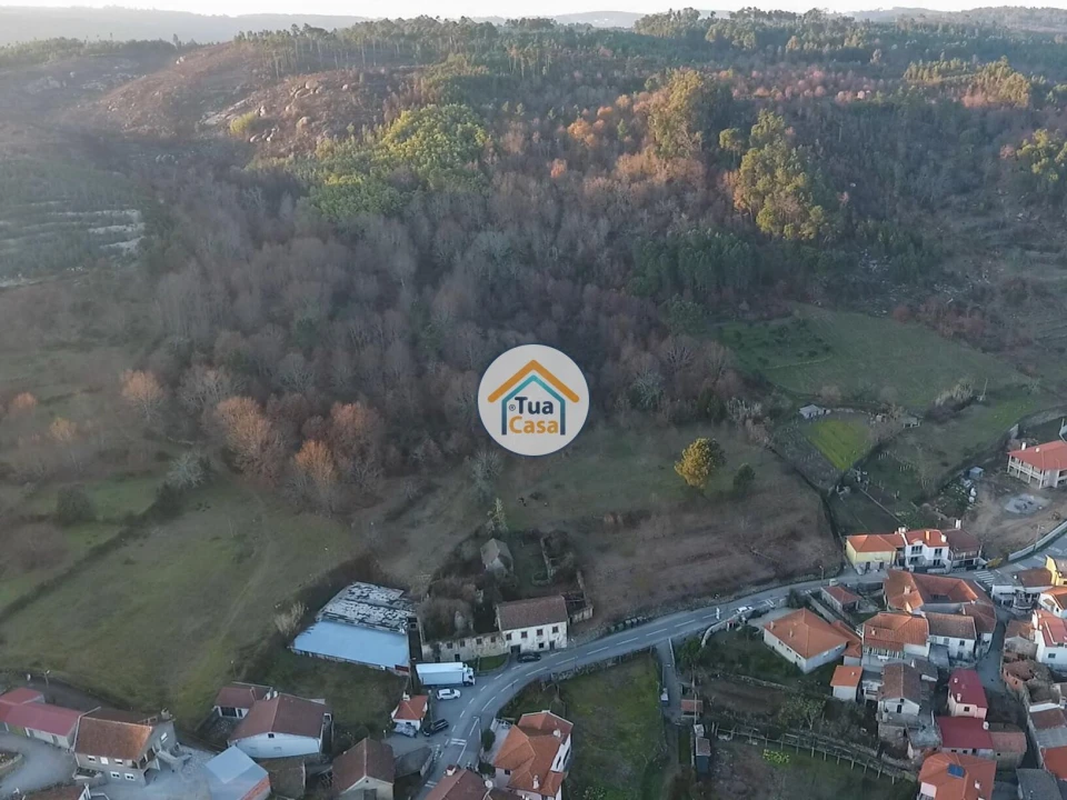 Quinta T5 para Venda em Santos Evos Foto 2