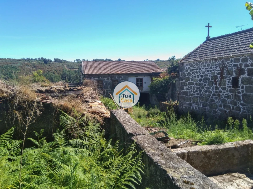 Quinta T5 para Venda em Santos Evos Foto 10
