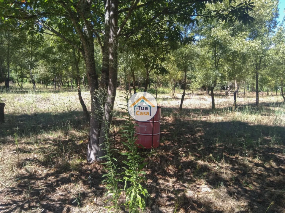 Quinta T5 para Venda em Santos Evos Foto 17