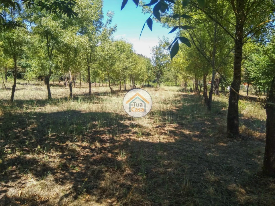 Quinta T5 para Venda em Santos Evos Foto 16
