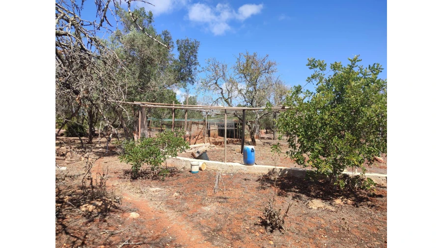 Quinta T3 para Venda em Lagos (São Sebastião e Santa Maria) Foto 8