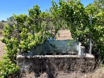 Terreno para Venda em Malpica do Tejo