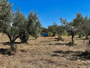 Terreno para Venda em Malpica do Tejo