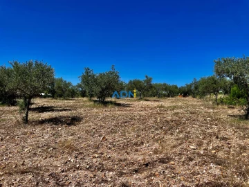 Terreno para Venda em Malpica do Tejo