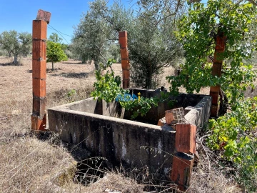 Terreno para Venda em Malpica do Tejo