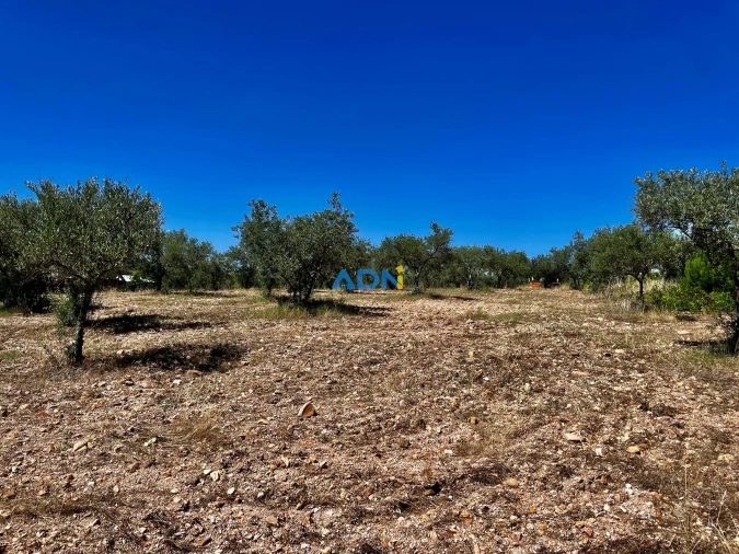 Terreno para Venda em Malpica do Tejo Foto 8