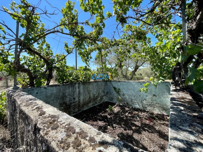 Terreno para Venda em Malpica do Tejo Foto 10