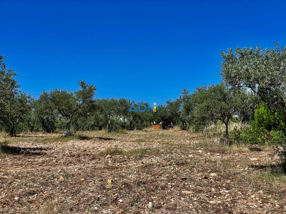 Terreno para Venda em Malpica do Tejo Foto 4