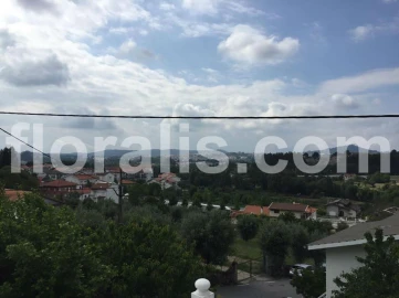 Moradia T5 para Venda em Viseu