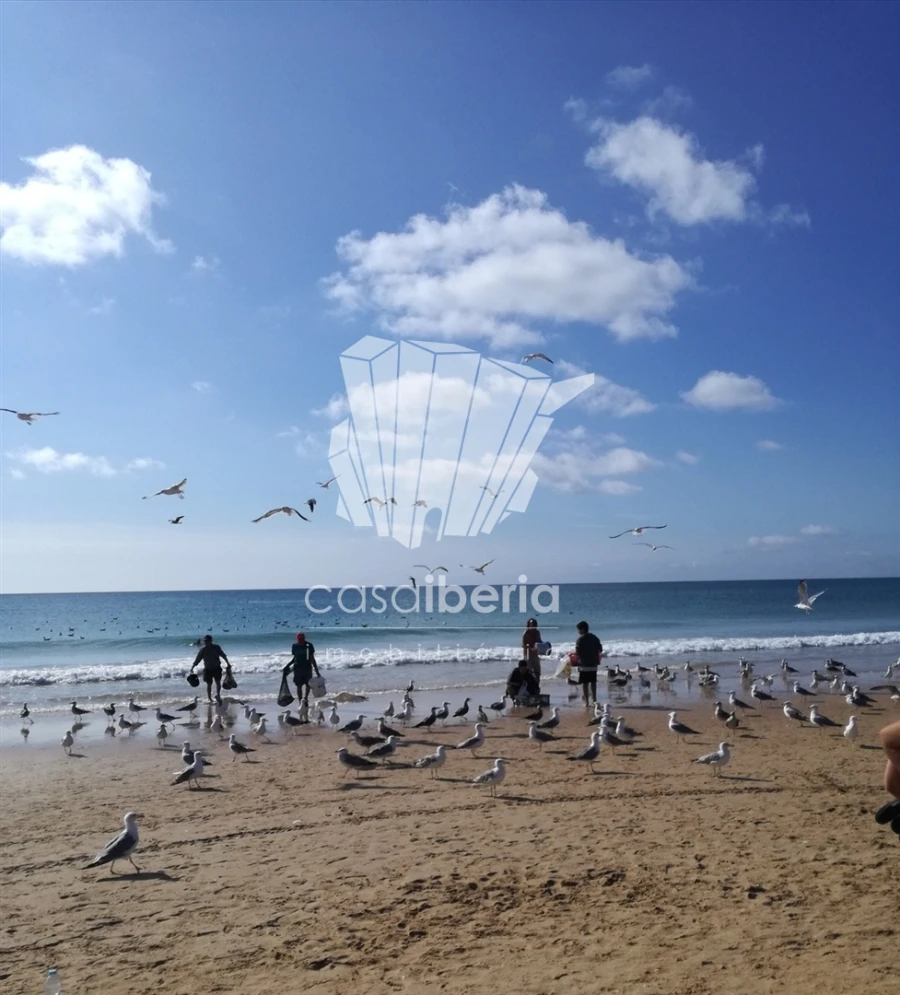 Apartamento T1 para Venda em Odiaxere Foto 18