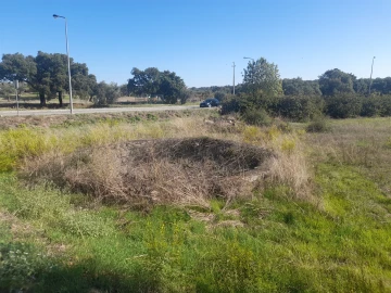 Terreno para Venda em Escalos de Cima e Lousa