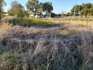 Terreno para Venda em Escalos de Cima e Lousa
