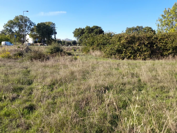 Terreno para Venda em Escalos de Cima e Lousa Foto 7
