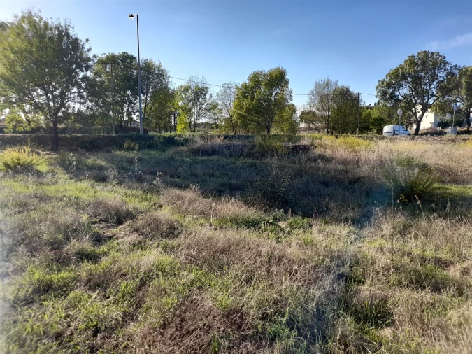 Terreno para Venda em Escalos de Cima e Lousa Foto 6