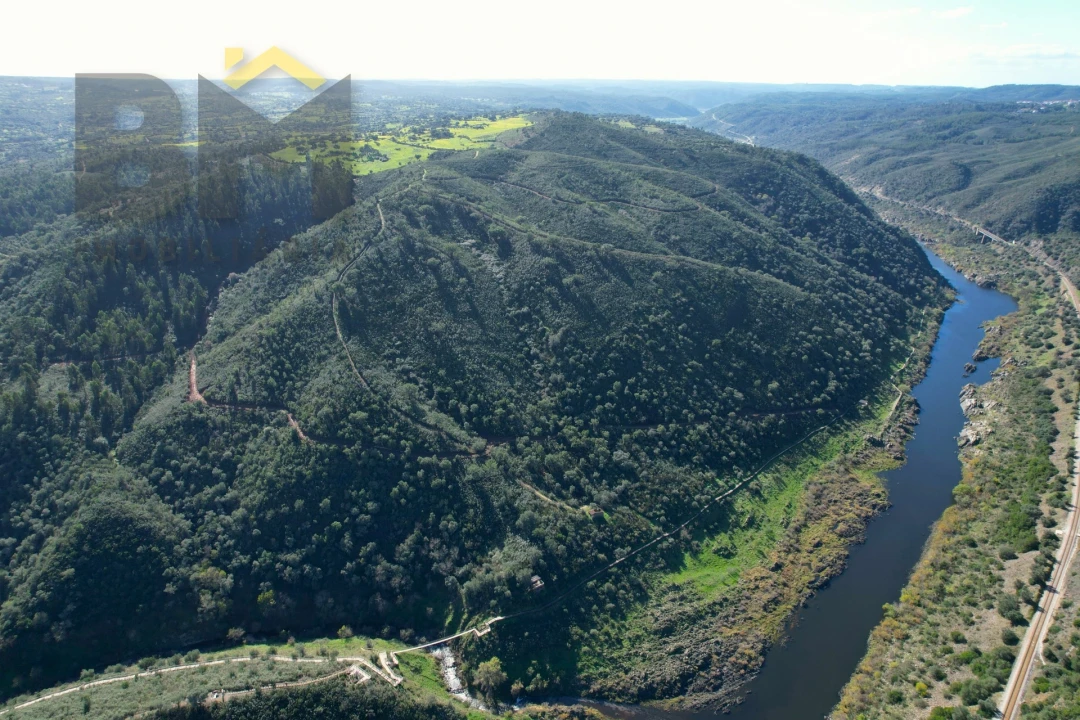 Terreno Agricola ou Rústico para Venda em Arez e Amieira do Tejo Foto 4