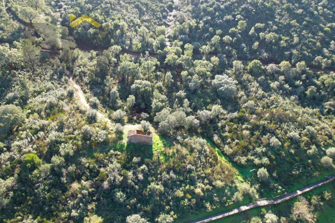 Terreno Agricola ou Rústico para Venda em Arez e Amieira do Tejo Foto 7