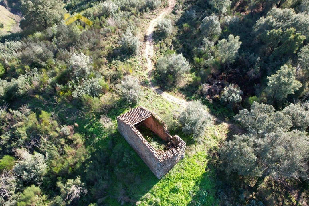 Terreno Agricola ou Rústico para Venda em Arez e Amieira do Tejo Foto 10