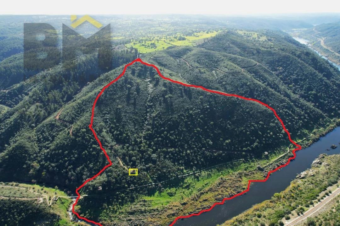 Terreno Agricola ou Rústico para Venda em Arez e Amieira do Tejo Foto 3