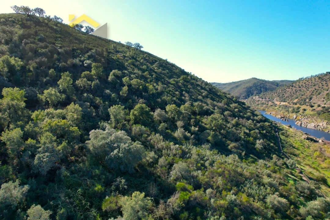 Terreno Agricola ou Rústico para Venda em Arez e Amieira do Tejo Foto 14