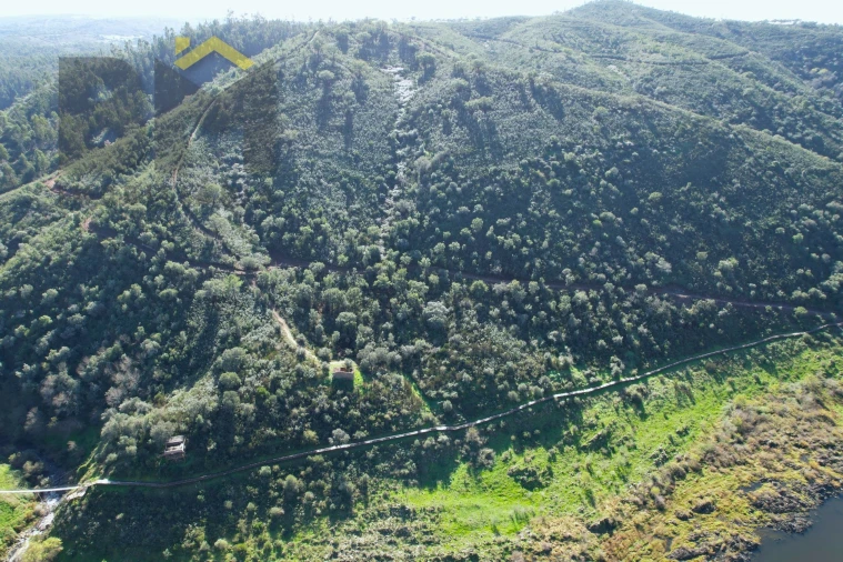 Terreno Agricola ou Rústico para Venda em Arez e Amieira do Tejo Foto 6