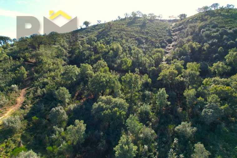 Terreno Agricola ou Rústico para Venda em Arez e Amieira do Tejo Foto 13