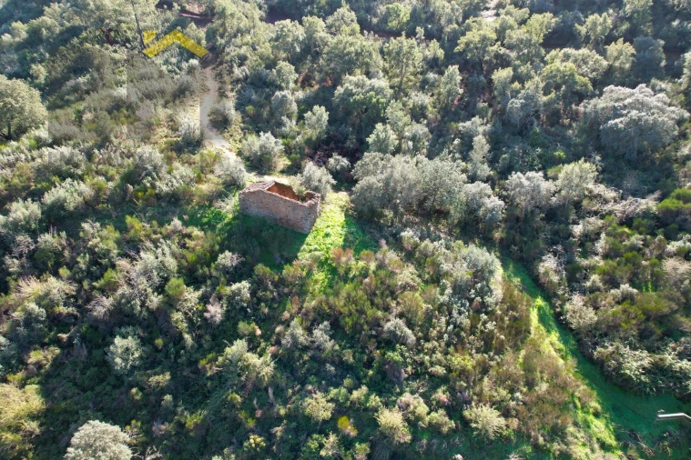 Terreno Agricola ou Rústico para Venda em Arez e Amieira do Tejo Foto 8