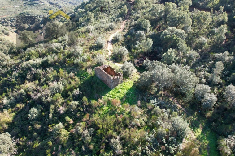 Terreno Agricola ou Rústico para Venda em Arez e Amieira do Tejo Foto 9