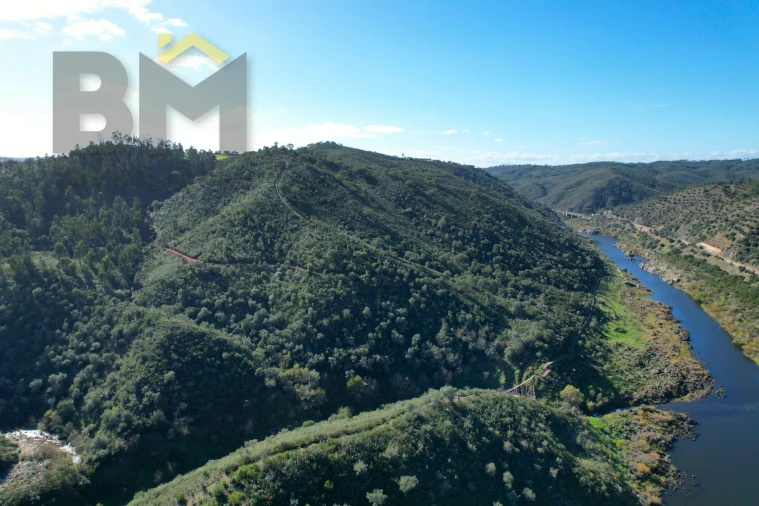 Terreno Agricola ou Rústico para Venda em Arez e Amieira do Tejo Foto 2
