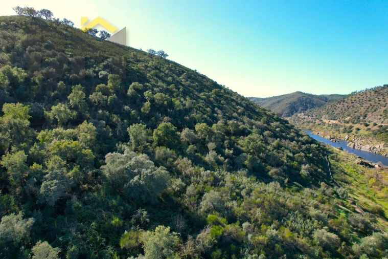 Terreno Agricola ou Rústico para Venda em Arez e Amieira do Tejo Foto 14