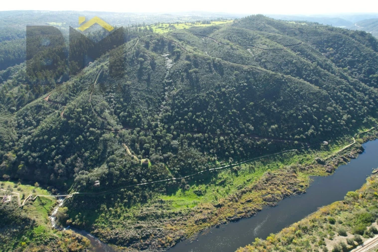 Terreno Agricola ou Rústico para Venda em Arez e Amieira do Tejo Foto 5