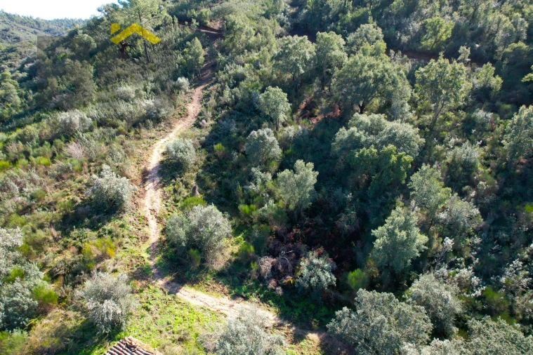 Terreno Agricola ou Rústico para Venda em Arez e Amieira do Tejo Foto 12