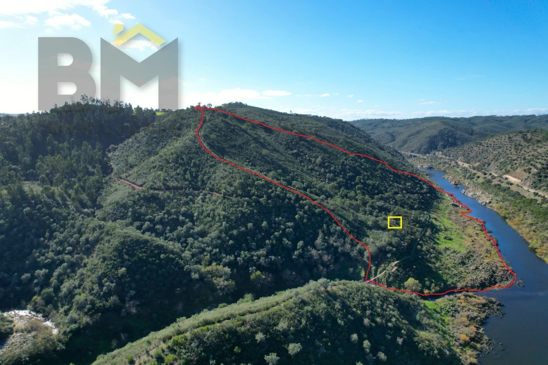 Terreno Agricola ou Rústico para Venda em Arez e Amieira do Tejo Foto 1