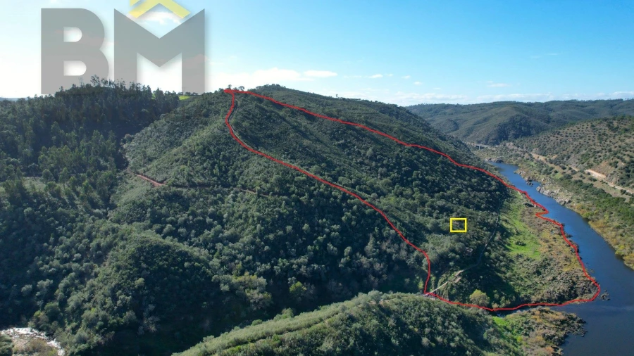 Terreno Agricola ou Rústico para Venda em Arez e Amieira do Tejo