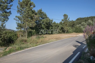 Terreno para Venda em Arganil