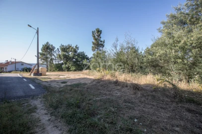 Terreno para Venda em Arganil