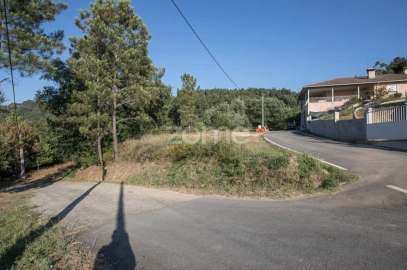 Terreno para Venda em Arganil