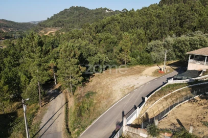 Terreno para Venda em Arganil