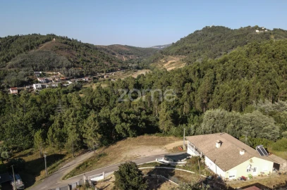 Terreno para Venda em Arganil