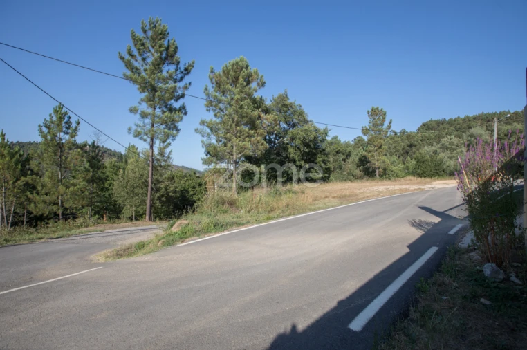 Terreno para Venda em Arganil Foto 3