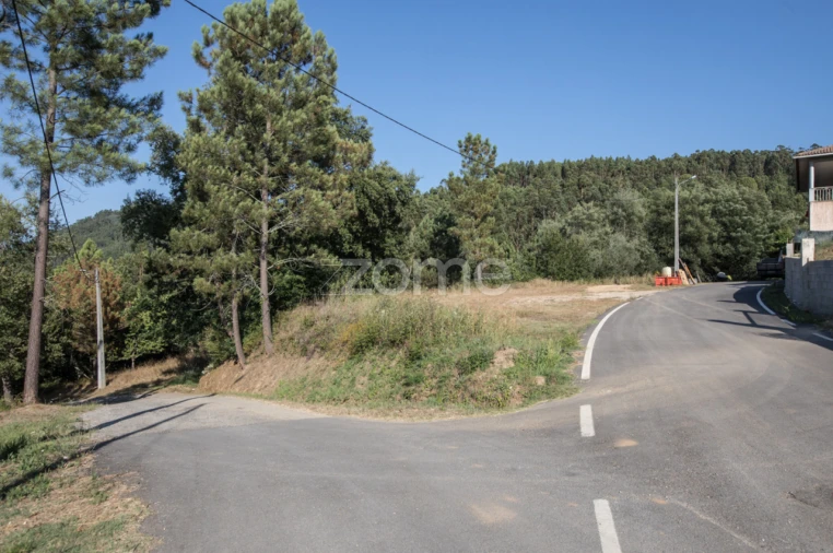 Terreno para Venda em Arganil Foto 5