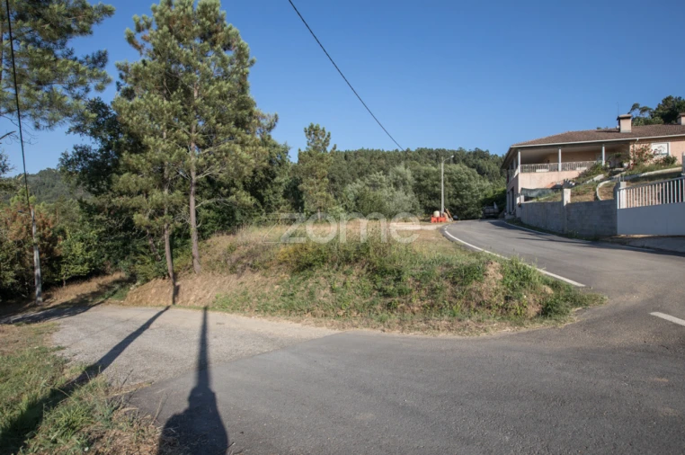 Terreno para Venda em Arganil Foto 8