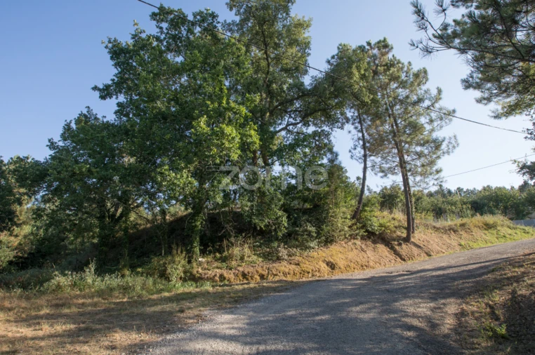 Terreno para Venda em Arganil Foto 10