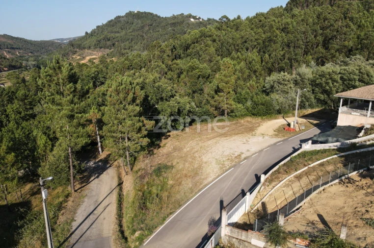 Terreno para Venda em Arganil Foto 11