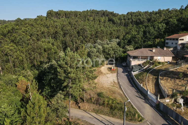 Terreno para Venda em Arganil Foto 17