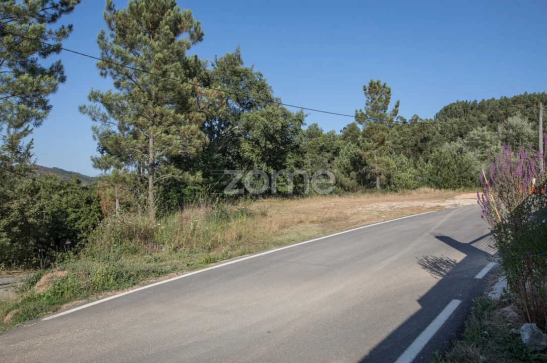 Terreno para Venda em Arganil Foto 4