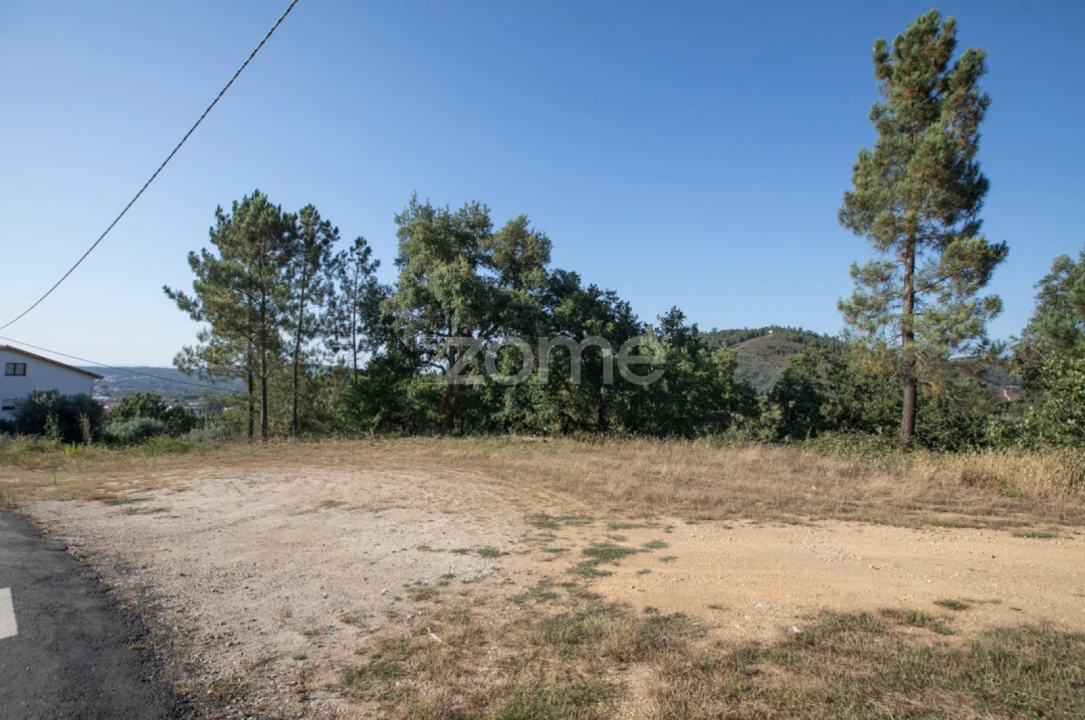 Terreno para Venda em Arganil Foto 7