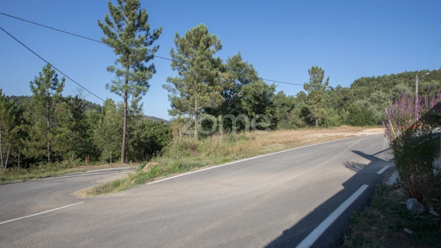 Terreno para Venda em Arganil